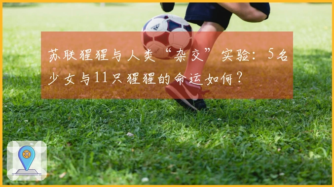 苏联猩猩与人类“杂交”实验：5名少女与11只猩猩的命运如何？