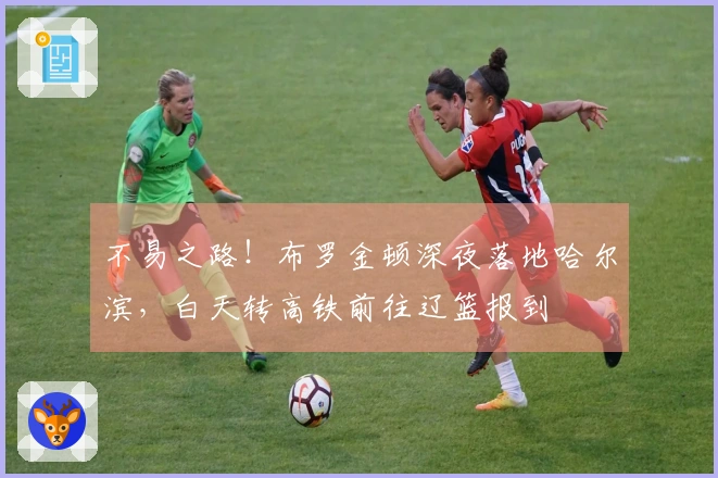 不易之路！布罗金顿深夜落地哈尔滨，白天转高铁前往辽篮报到